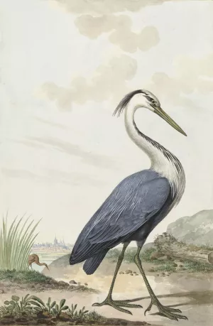 Blauwe reiger Oil painting by Jabes Heenck