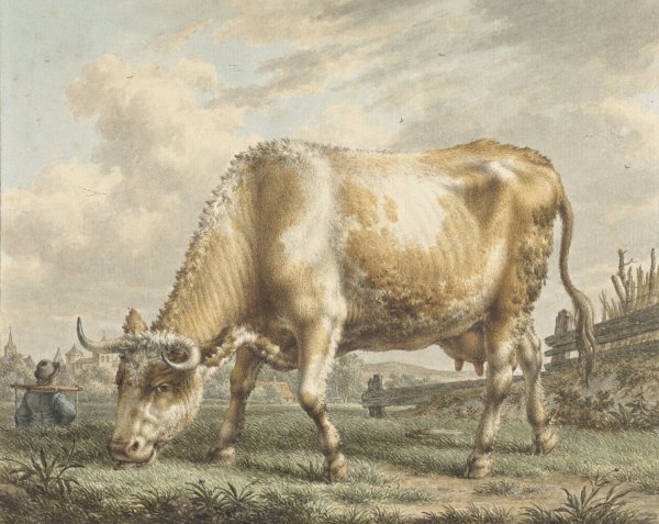 Main Product Photo of Grazing Cow  Painting by Jacob Cats