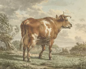 Roodbonte koe in een landschap by Jacob Cats Oil Painting