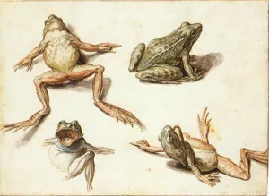 Four Studies of Frogs by Jacob De Ii Gheyn - Oil Painting Reproduction