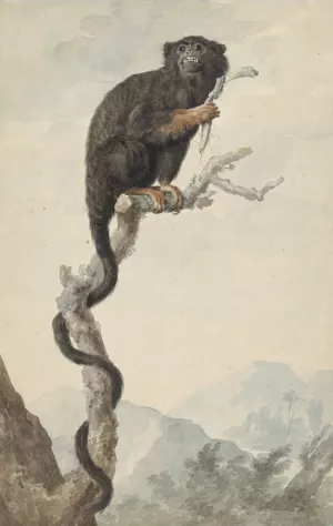 A Red-Handed Tamarin Oil painting by Jacob Perkois