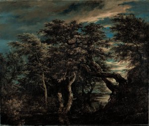 A Marsh in a Forest at Dusk by Jacob Van Ruisdael Oil Painting