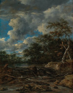 A wooded landscape with a waterfall by Jacob Van Ruisdael Oil Painting