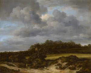 Cornfield by Jacob Van Ruisdael Oil Painting