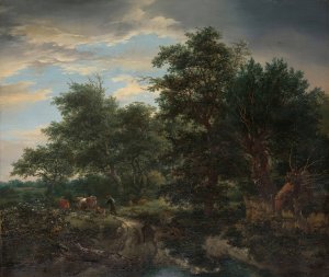 Forest scene by Jacob Van Ruisdael Oil Painting