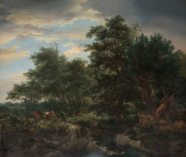 Main Product Photo of Forest scene  Painting by Jacob Van Ruisdael