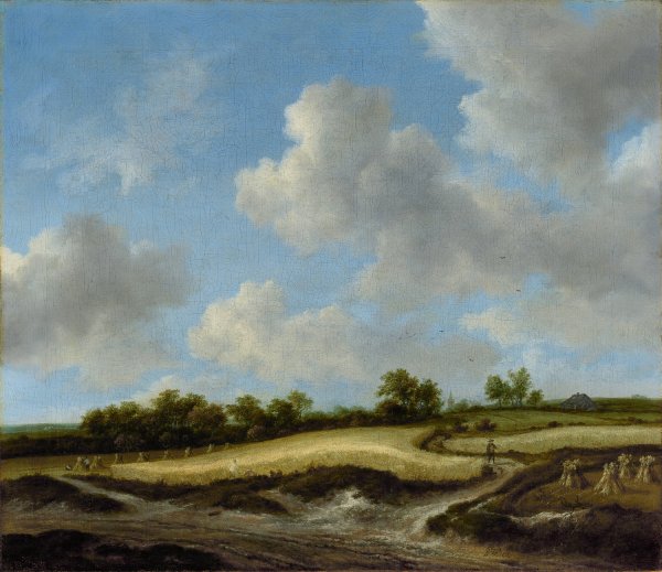 Main Product Photo of Landscape with a Wheatfield  Painting by Jacob Van Ruisdael