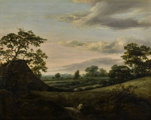 Landscape with cornfields and a thatched barn by Jacob Van Ruisdael Oil Painting