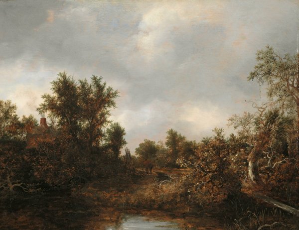 Main Product Photo of Landscape  Painting by Jacob Van Ruisdael