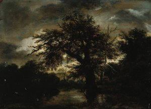 Le Vieux Chene by Jacob Van Ruisdael Oil Painting