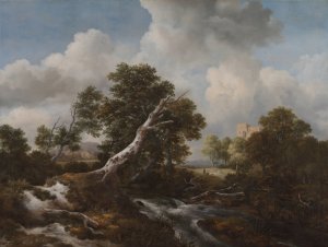 Low Waterfall in a Wooded Landscape with a Dead Beech Tree by Jacob Van Ruisdael Oil Painting