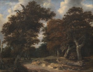 Road through an Oak Forest by Jacob Van Ruisdael Oil Painting