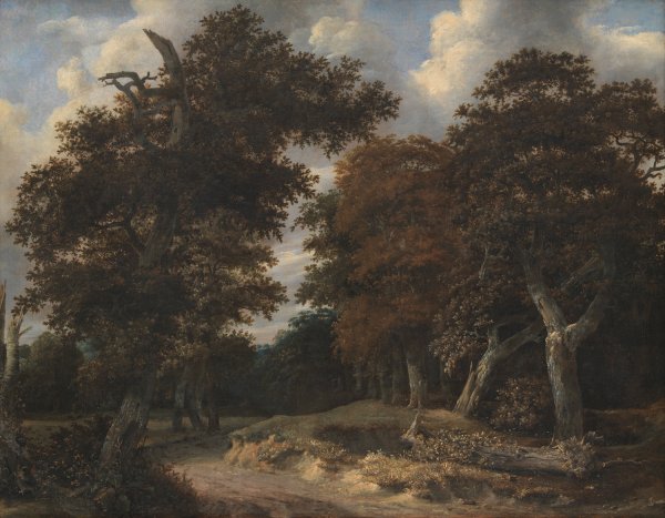 Main Product Photo of Road through an Oak Forest Painting by Jacob Van Ruisdael