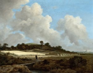 View of Grainfields with a Distant Town by Jacob Van Ruisdael Oil Painting