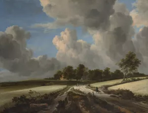 Wheat Fields by Jacob Van Ruisdael Oil Painting