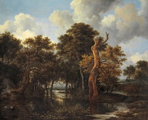 Wooden Marsh Landscape with Dead Tree by Jacob Van Ruisdael Oil Painting