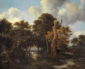 Wooden Marsh Landscape with Dead Tree by Jacob Van Ruisdael Oil Painting