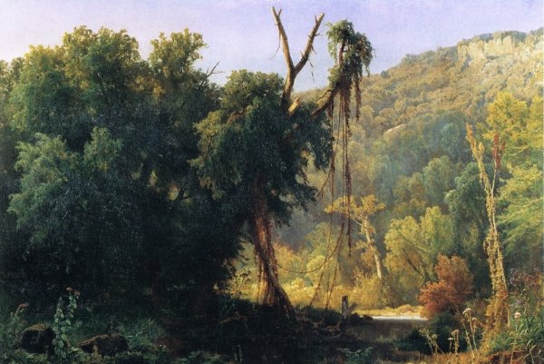 A West Virginia Forest by Jacobus Van Starkenborgh - Hand-Painted Oil Painting Reproduction