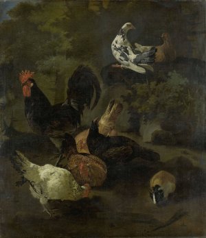A Cock, Hens, Doves, and a Marmot by Jacomo Victors Oil Painting