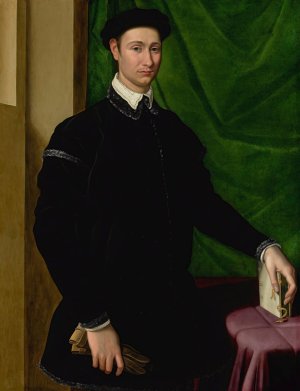 Portrait Of A Gentleman by Jacopino Del Conte Oil Painting