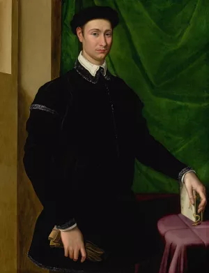 Portrait Of A Gentleman by Jacopino Del Conte Oil Painting