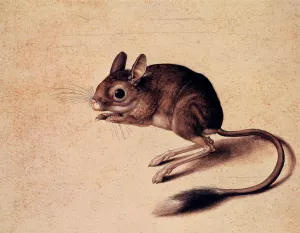 Gerbil by Jacopo Ligozzi Oil Painting