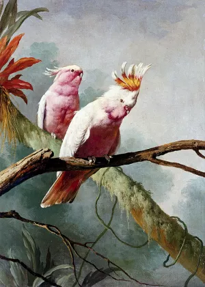 A Pair Of Leadbeaters Cockatoos painting by Jacques Barraban
