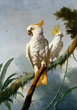 A Pair Of Sulphur-Crested Cocktoos by Jacques Barraban Oil Painting