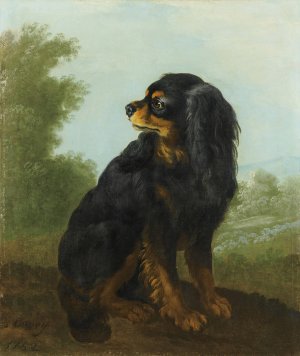 Portrait De Cavalier King Charles by Jacques-Charles Oudry Oil Painting