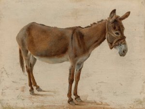 A Donkey by Jacques-Laurent Agasse Oil Painting
