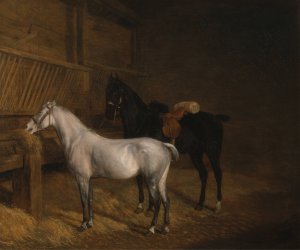 A Grey Pony and a Black Charger in a Stable by Jacques-Laurent Agasse Oil Painting