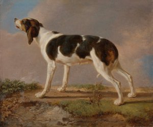 A Hunting Dog by Jacques-Laurent Agasse Oil Painting
