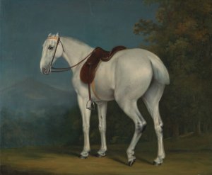 A Lady's Grey Hunter by Jacques-Laurent Agasse Oil Painting