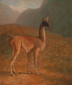 Guanaco Oil painting by Jacques-Laurent Agasse