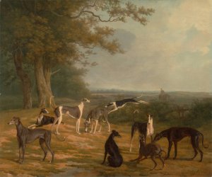 Nine Greyhounds in a Landscape by Jacques-Laurent Agasse Oil Painting
