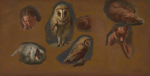 Studies of a Fox, a Barn Owl, a Peahen, and the Head of a Young Man by Jacques-Laurent Agasse Oil Painting