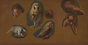 Studies of a Fox, a Barn Owl, a Peahen, and the Head of a Young Man by Jacques-Laurent Agasse Oil Painting