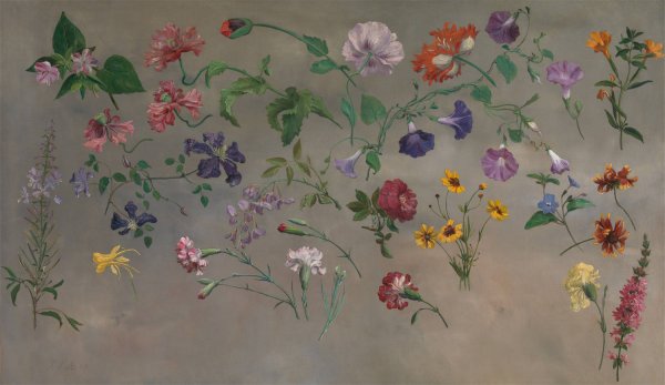 Studies of Flowers  by Jacques-Laurent Agasse - Hand-Painted Oil Painting Reproduction