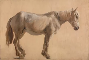 Study of a Grey Horse by Jacques-Laurent Agasse Oil Painting