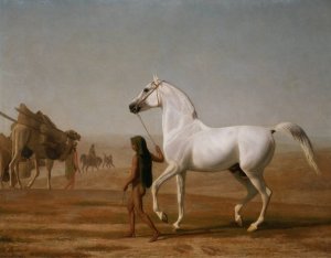 The Wellesley Grey Arabian Led through the Desert by Jacques-Laurent Agasse Oil Painting
