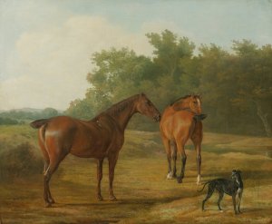 Two Horses And a Greyhound In A Landscape by Jacques-Laurent Agasse Oil Painting