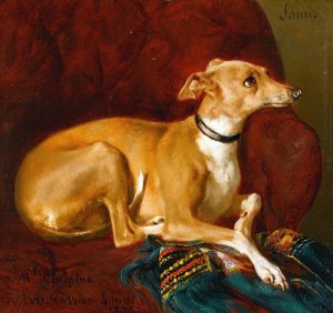 A Greyhound Resting On A Chair by Jacques-Raymond Brascassat Oil Painting
