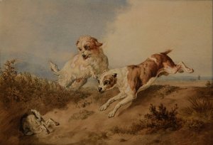 Chiens a la poursuite d'un lapin by Jacques-Raymond Brascassat Oil Painting