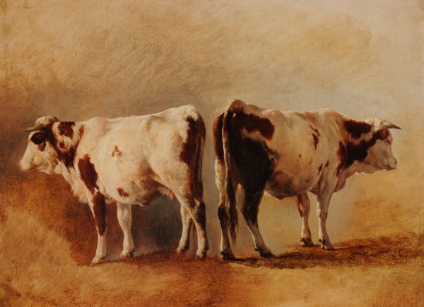 Etude de vache by Jacques-Raymond Brascassat - Hand-Painted Oil Painting Reproduction