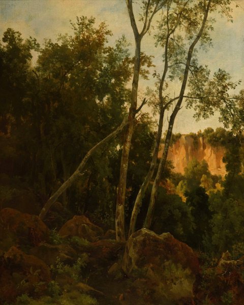 Foret avec rochers by Jacques-Raymond Brascassat - Hand-Painted Oil Painting Reproduction