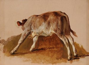 Jeune veau by Jacques-Raymond Brascassat Oil Painting