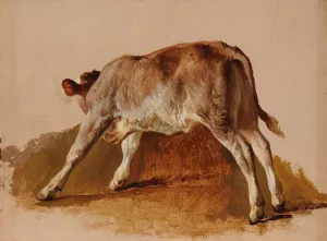Jeune veau Oil painting by Jacques-Raymond Brascassat