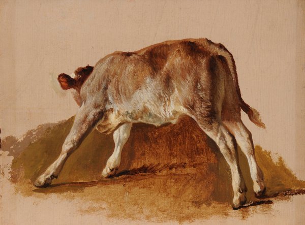 Jeune veau by Jacques-Raymond Brascassat - Hand-Painted Oil Painting Reproduction