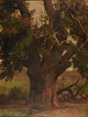 Le Vieux chene by Jacques-Raymond Brascassat Oil Painting