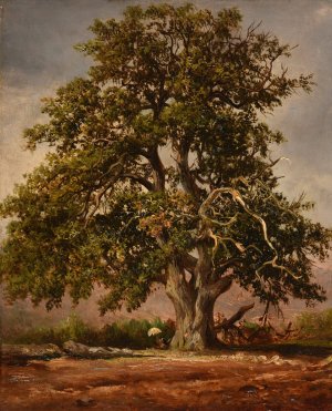 Le Vieux chene by Jacques-Raymond Brascassat Oil Painting